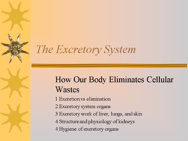 The Excretory System How Our Body Eliminates Cellular Wastes  1 Excretion vs elimination